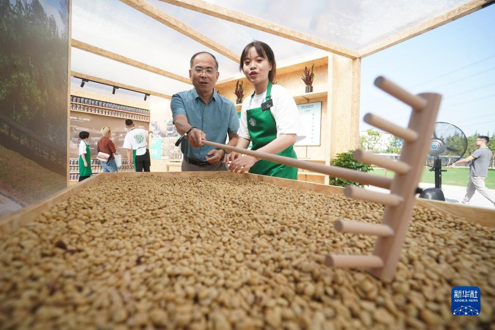 必赢集卡活动交流帖